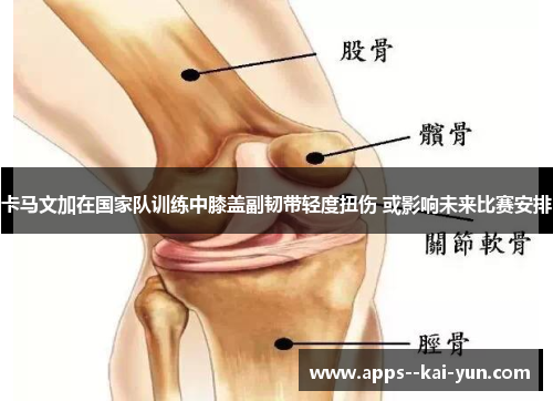 卡马文加在国家队训练中膝盖副韧带轻度扭伤 或影响未来比赛安排 卡马文加在国家队训练中膝盖副韧带轻度扭伤 或影响未来比赛安排