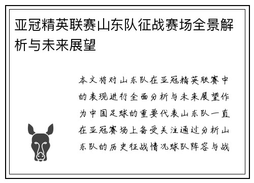 亚冠精英联赛山东队征战赛场全景解析与未来展望